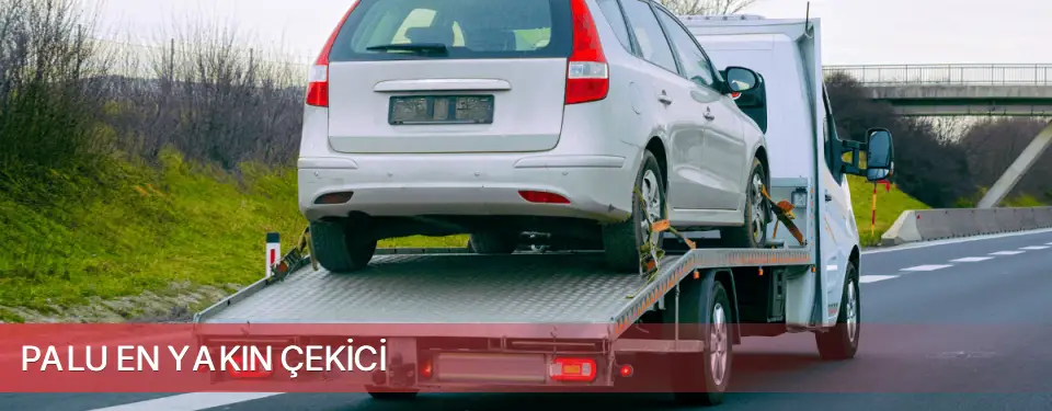 Palu İlçemi En Yakın Çekici
