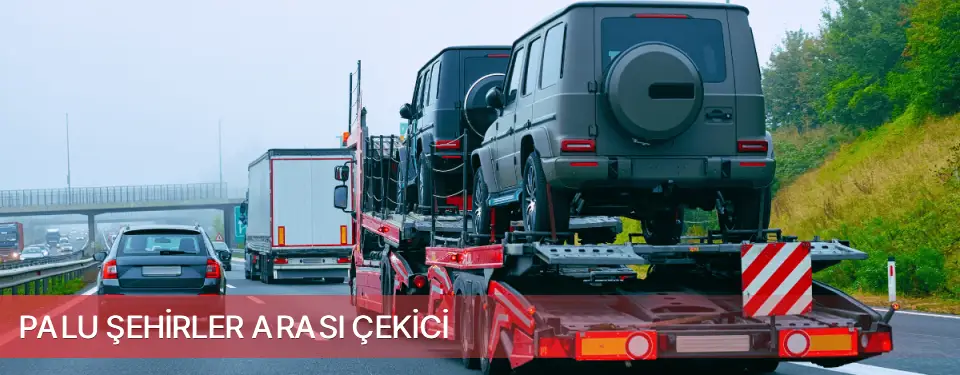 Palu İlçemi Şehirler Arası Çekici