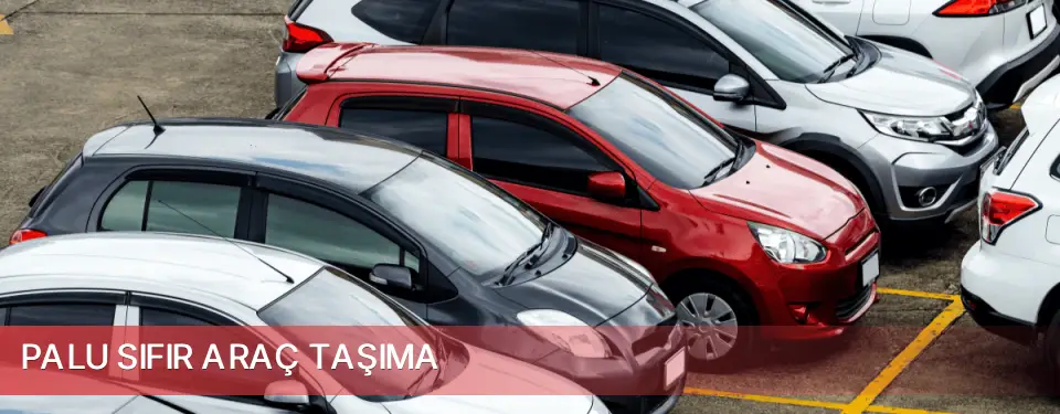 Palu İlçemi Sıfır Araç Taşıma